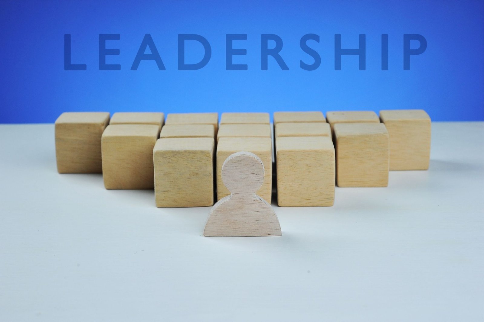 leadership framework