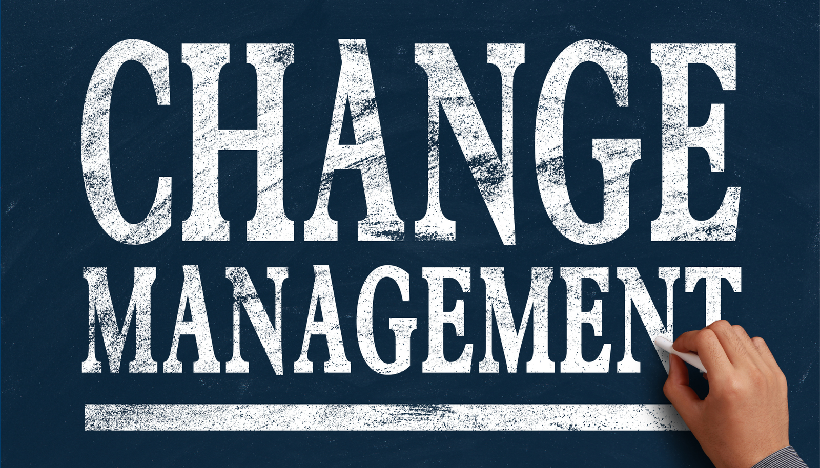 A change management facilitator guiding a workshop