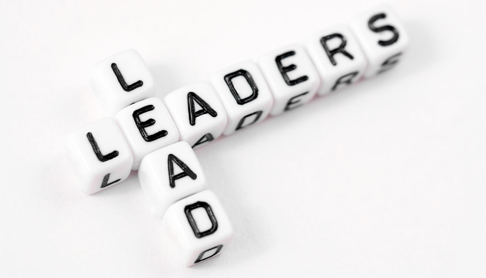 developing future leaders